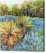 Bluebonnets And Yucca-pastel Colors Canvas Print