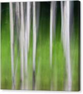Blurred Reflection Canvas Print