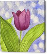 Bokeh Tulip Canvas Print