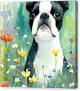 Boston Terrier In A Flower Field 4 Canvas Print