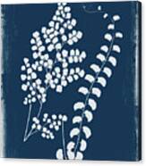 Botanical Cyanotype Series No. Two Canvas Print