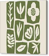 Botanical Sage Canvas Print