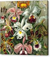 Bouquet Of Orchids Canvas Print