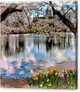 Branch Brook Cherry Blossom Park Canvas Print