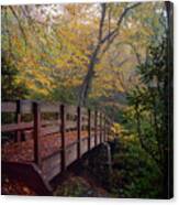 Bridge On The Tanawha Trail Canvas Print