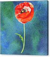 Bright Beautiful Red Poppy Flower Happy Wildflower On Blue Watercolor Iv Canvas Print