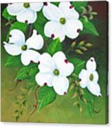 Bright Dogwood Blossoms Canvas Print