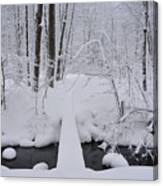 Bromley Brook With Snow 3 Canvas Print