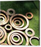 Bronze Washers On Green Fabric Canvas Print