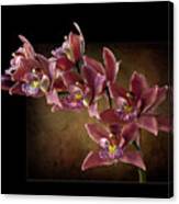 Brown Orchids Canvas Print