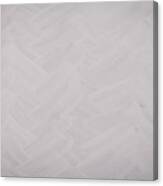Brushed White Painted Wall Canvas Print