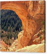 Bryce Canyon Arch Canvas Print