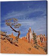 Bryce Canyon National Park - Shaped By The Wind Canvas Print
