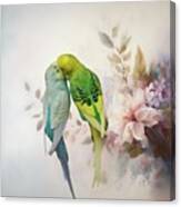 Budgies Love Canvas Print