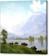 Buffalo Country Canvas Print