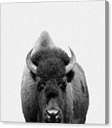 Buffalo Photo 135 Black And White Canvas Print