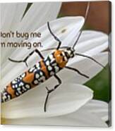Bug Destiny Canvas Print