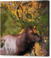 Bull Elk In Autumn Leaves Canvas Print