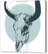 Bull Skull Canvas Print