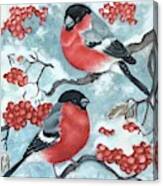 Bullfinch Couple Canvas Print