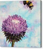 Bumblebee Thistle Canvas Print