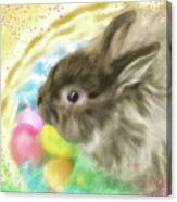 Bunny In A Basket Canvas Print
