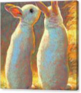 Bunny Secrets Canvas Print