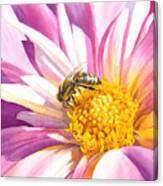 Busy Bee Canvas Print