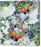 Butterfly Garden 2 Canvas Print