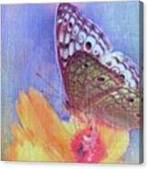 Butterfly Kisses Canvas Print