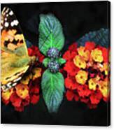 Butterfly On Flowers In Nature In Spring - Macro Photo Canvas Print