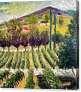 Cabernet Lot At Oak Mountain Winery Canvas Print