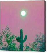 Cactus Full Moonrise In Aries Canvas Print