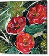 Cactus Roses Canvas Print