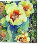 Cactus Splendor Ii Canvas Print