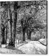 Cades Cove Sparks Lane Loop Black And White Canvas Print