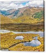 Cajas Mountains And Flora Canvas Print