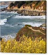 California Coast Overlook Canvas Print