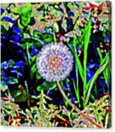 California Dandelion Canvas Print