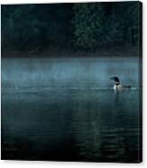 Call Of Lake Nunikani Print Canvas Print