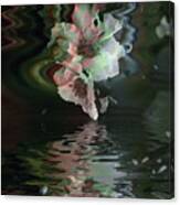 Camellia Immersed Canvas Print