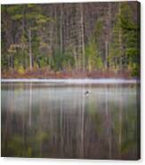 Canada Goose On A Misty Swift River Morning Canvas Print