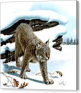 Canada Lynx And Red Oak Canvas Print