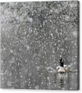 Canadian Goose In Snow 1 Canvas Print