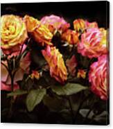 Candlelight Rose Canvas Print