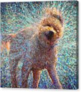 Canis Rufus Canvas Print