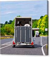 Car With Horse Trailer On Road Canvas Print