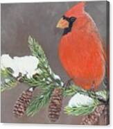 Cardinal On A Snowy Branch Canvas Print