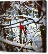 Cardinal In The Snowy Trees Canvas Print
