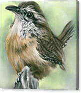 Carolina Wren Perky Bird Portrait Canvas Print